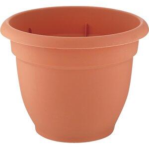 Bloem  Ariana Self Watering Terracotta Planter 12 Inch  1 Each 20-56112
