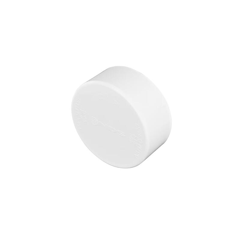 PVC End Cap Sani 4 Inch  1 Each 2910244