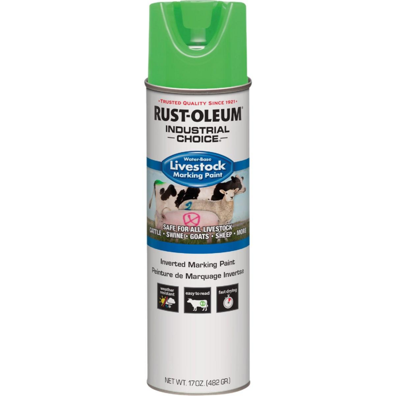 FLUORESCENT GREEN 17OZ 383007