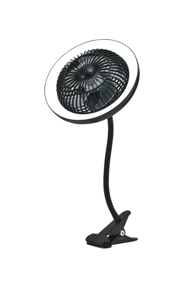 FAN W/LAMP DECOR 00416BK-5W