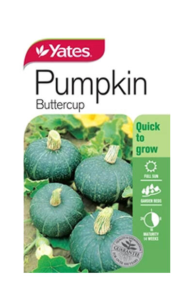  Yates Pumpkin Butternut  1 Each 33965 307966 VSA