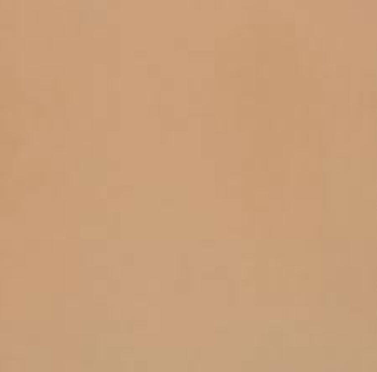 Clay Sahara Smooth Quarry Tile 12x12 Inch 1 Each 225026402