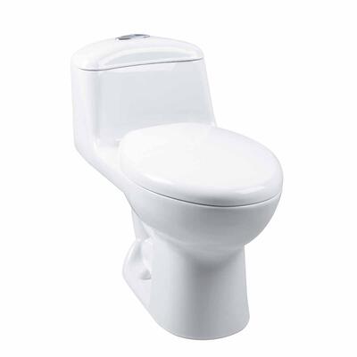Smart Al Toilet With Seat White 1 Each O29181001