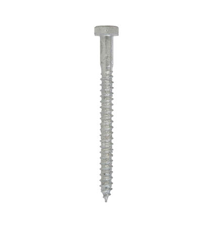  Hillman  Galvanized Hex Lag Screw 1/4x3 Inch  1 Each 812015 786-886
