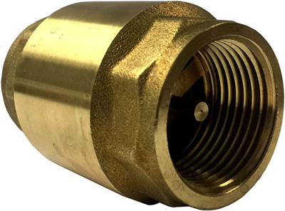  Brown USA Spring Check Valve  1 Inch  1 Each  BRSCV0100