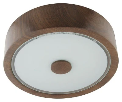 FLUSH MOUNT CEILING LIGHT 11