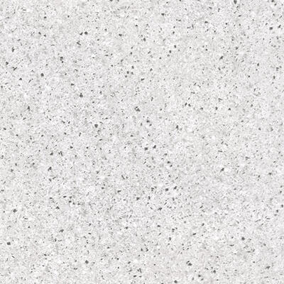 Enduro Cz Tile Ceramic 20x20 Inch 1 Each