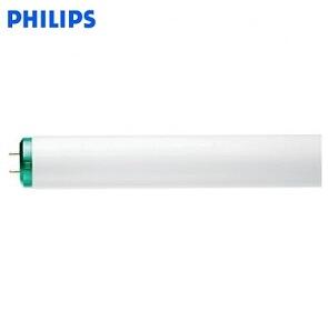 Philips Fluorescent Tube 2 Feet 1 Each F20T12D 273284 31385