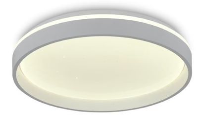 FLUSH MOUNT CEILING LIGHT