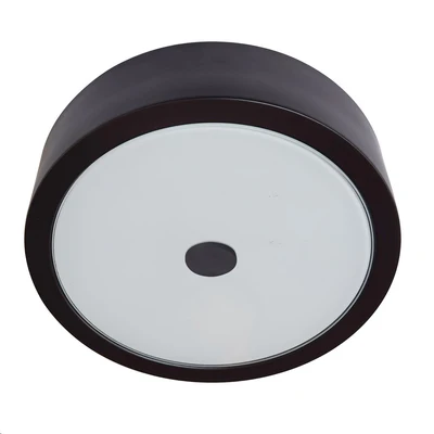 FLUSH MOUNT CEILING LIGHT 11