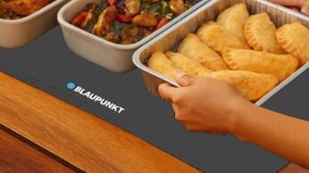 FOLDABLE FOOD WARMER