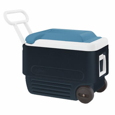 Igloo Cooler 40qt 1 Each 34061 34484