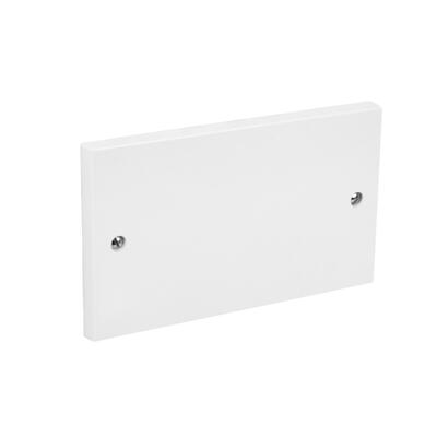  CED Blanking Plate 2 Gang White 1 Each CEDBP2 19644D