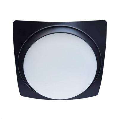 HOME DELIGHT FLUSH MOUNT CEIL