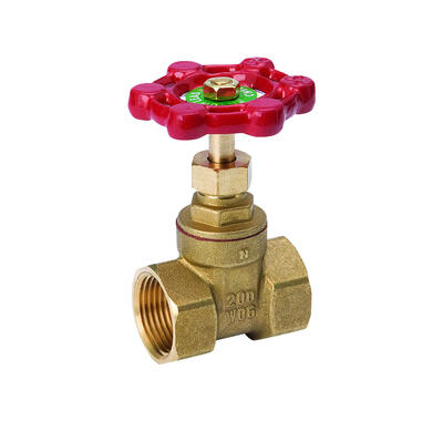  ProLine  Gate Valve FIP  3/4x3/4 Inch  Brass 1 Each 100-404NL