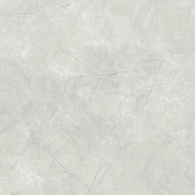 Fremont Ceramic Floor TIle 21x21 Inch 1 Each 56304