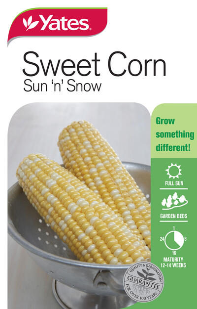  Yates Sweetcorn Sun And Snow  1 Each 51657