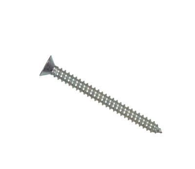 Hillman FH Phillips SM Screw #8x1 In SS 1 Each 823466