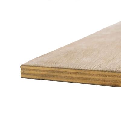 Plywood Interior Bbcc 5/8 Inch 15mm 1 Sheet
