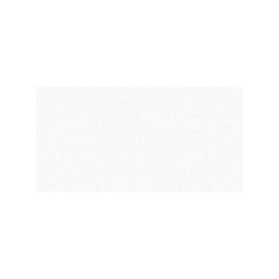 Alaska Plus Tile 15.2 x 30 Inch 1 Each 11001