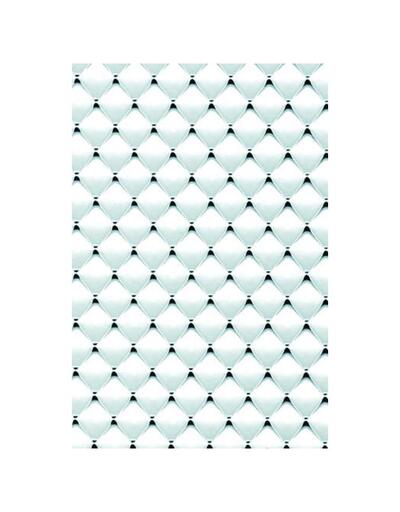 Plaskolite Ceiling Light Panel 2x4 Clear 1 Each 1A20083A