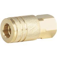  Tru-Flate Coupler Female 13-234 1/4 Inch  1 Each C20B