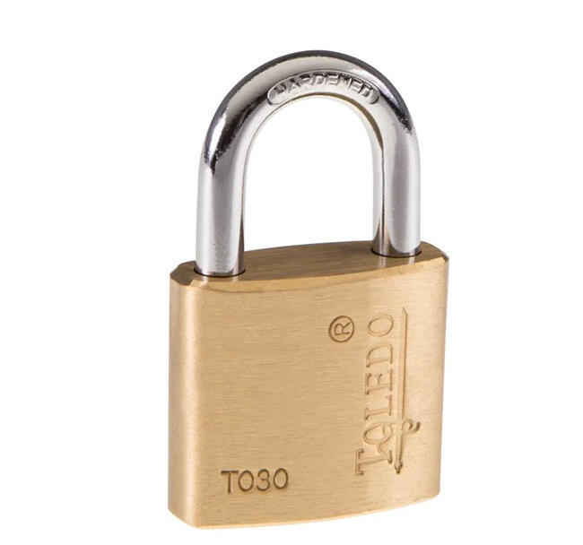 Toledo Iron Padlock  30mm 1 Each T-LS30