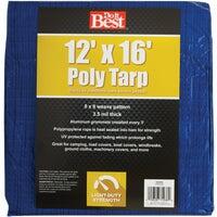  Do It Best  General Purpose All Tarp  12x16 Feet  Blue 1 Each 767879