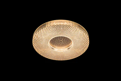 FLUSH MOUNT CEILING LIGHT