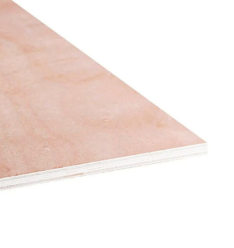  Plywood Interior BBBB  1/2 Inch  1 Each