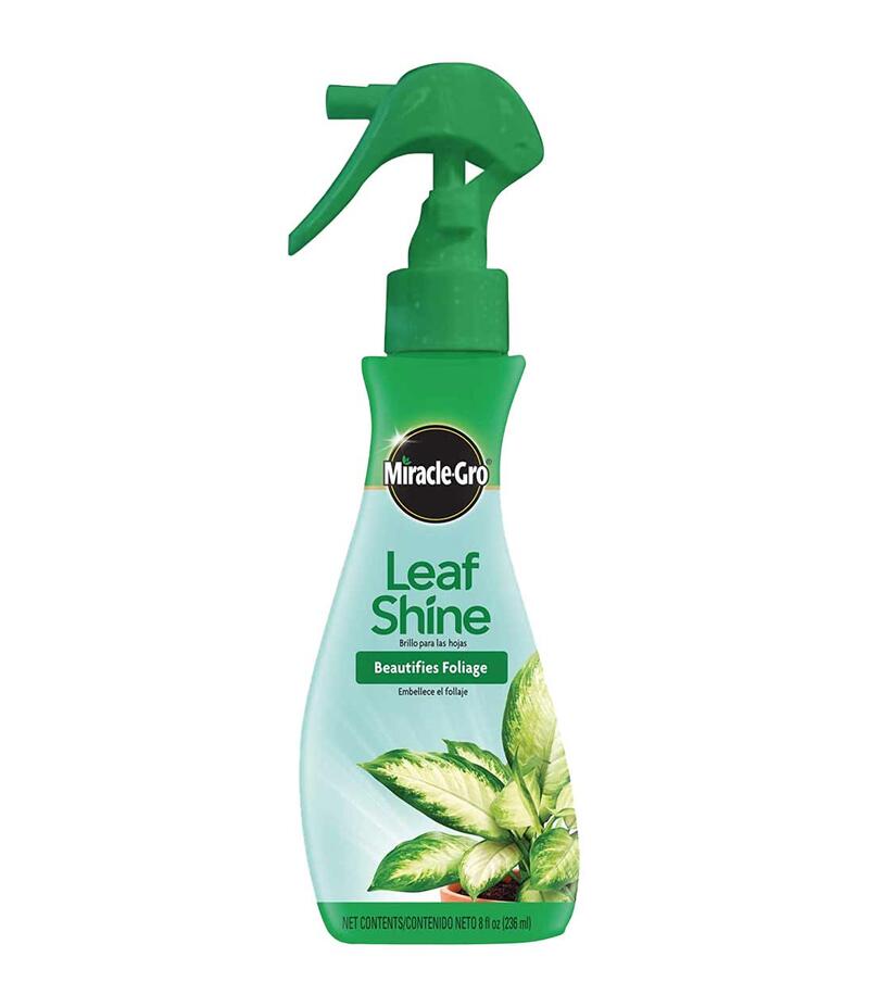  Miracle Gro  Leaf Shine 8 Ounce  1 Each 1007201