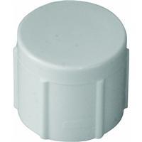  PVC Threaded Cap  1/2 Inch  1 Each 2901793 2901388